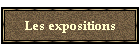 Les expositions